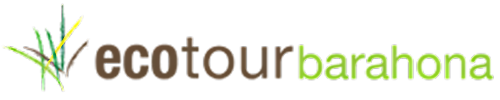 Ecotour Logo
